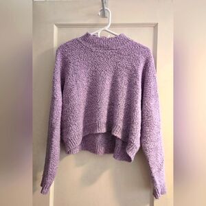 Cropped Wild Fable Lavender Pull Over Sweater